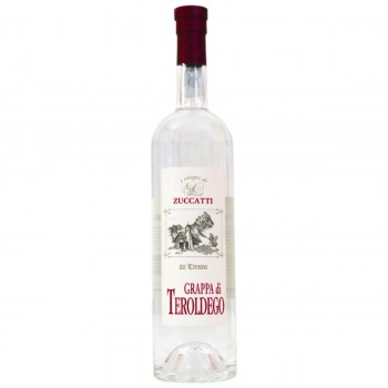 grappa teroldego
